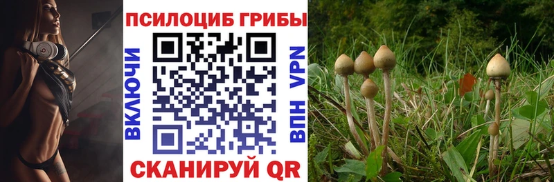 Галлюциногенные грибы Psilocybe  Уссурийск 